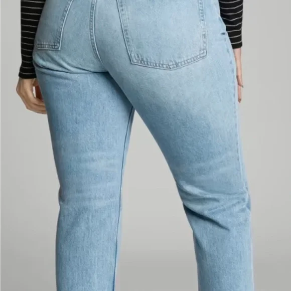 NWT Everlane The Curvy 90’s cheeky jean size 29